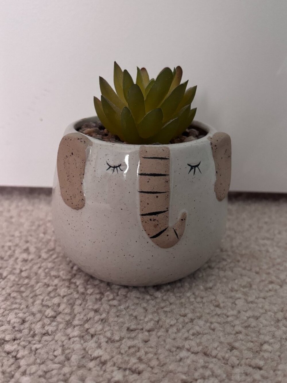 Elephant Pot with Succulent and Rocks